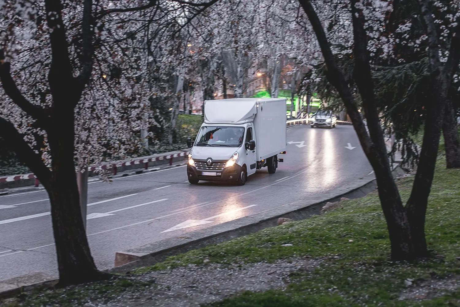 Auto von Allesraus